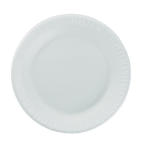 FOAM PLT 10.25 IN WHI 4/125
