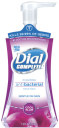 DIAL COMPLETE ANTIBAC FOAM SOAP COOL PLUM
