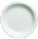 ELITE PLT FOAM LAM 9IN WHI 125/PK 4/CS