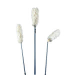 OVERHEAD DUST TOOL REPLACEMENT HEAD LNDRBL