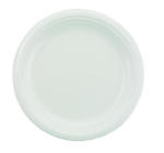 BASIX FOAM PLT 9 IN WHI 4/125