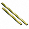 GOLDEN CLIP PRO WNDW SQUEGE 18 IN BRASS 10