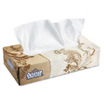 QUILTED NORTHERN FLAT FCL TISS 7.63X9 2P W