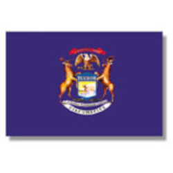 MICHIGAN NYLON FLAG 4 X 6 221-2091