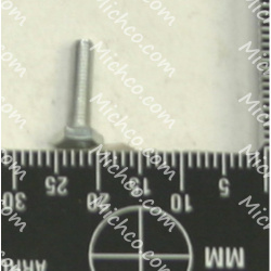 SCR CAP  HEX  HD 3-.5X12mmL