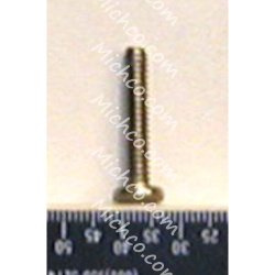 SCR-MC, PAN HD, 10-24 X 1.00 SS