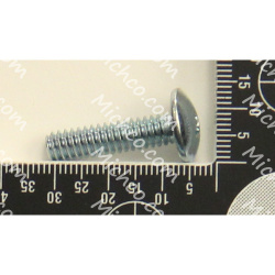 SCREW, TRS, .25-20 X 1.00, PL