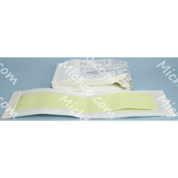 PAPER BAG PKG/10