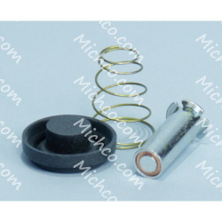 VALVE KIT, WATER [VITON DIAPHRAM]