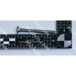 BLT-CARR 1/4-20 X 2.50 SS