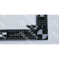 NUT-WING 1/4-20 SS