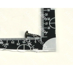SCREW, PAN, PHL, 06 X 0.50, FMG/AB,