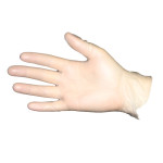 Pro-Guard Disposable Vinyl Powder Free General Purpose