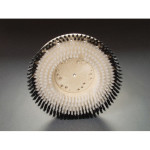 Polypropylene Carpet Brush 15" with NP-46 Clutch Plate
