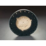 Clean-Grit Scrubbing Brush 12" with NP-9200 Clutch Plate