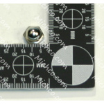 NUT:1/4-20 Acorn Zinc