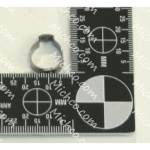 Clamp, Hose, Ear, 0.50-Dia., Stainless Steel