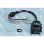 Switch Cord Assembly, Replacement F/Lv