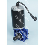 Light Motor Assembly