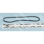 Gasket, Squeegee Shoe Adaptor Ring