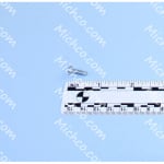 Screw 8-32 x 1/2 Pan Head ST TP23 Phillips Head