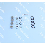 Rebuild Kit Pump Valves & O - R