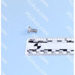 Screw Phillips Head SST M5 X 10