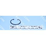 Ring Retaining Lock 1300-185