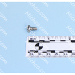 Screw Pan Stainless Steel Type B 10-16X.375