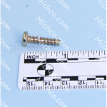 Self - Tapping Screw M5 X 20 Phillips Head