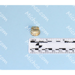 Nozzle Spray D.0.53 Brass Sip