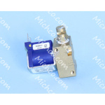 Valve / Nozzle Assembly - 120 Volt- Restore