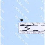 Screw 10-24 x 3/16 Steel Cuppt