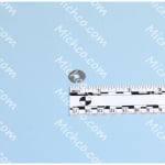 WASHER, .203 X .562 X .040 FLT