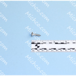 SCREW, 10-12 X .75 PHTRHSMS SS TYPEA