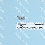 VF89509 Replacement Part Nut Thumb M6