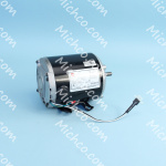 Assembly, Brush Motor FP20