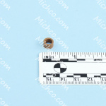 O RING,SPRAY BODY