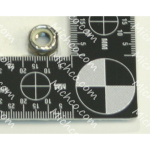 Nut Hex Head Nylon Lock Stainless Steel 5/16-18
