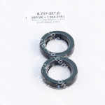 Kit, Plunger Seal, 2 Cyl