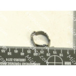 Clamp Hose 8-11mm Ear Stainless Steel