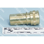 Quick Connector -1/4 Female 198115 H500024 33001