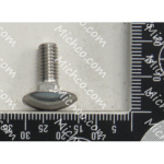 Bolt, Carriage, M6 X 16, Stainless Steel