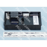 Module, Timer, Dual 24 Volt DC