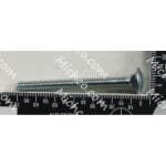 Screw Carriage 1/4-20X2.50