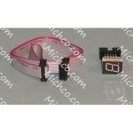 Ind Light (COVER Not Incl) 72300117 Coma