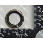 Seal Single Lip W/spg 5/8 ID