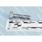 Screw Hex Head Stainless Steel M6 -1.00X25mm