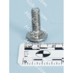 Screw Carriage Stainless Steel 1/4-20X.75