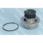 Replacement Part Water Pump